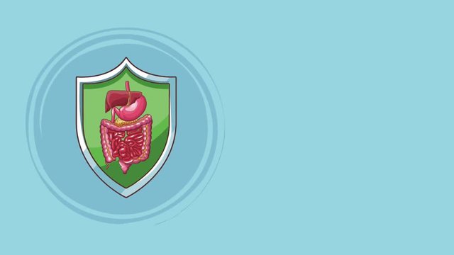 Digestive system protected by shield High definition colorful scenes animation