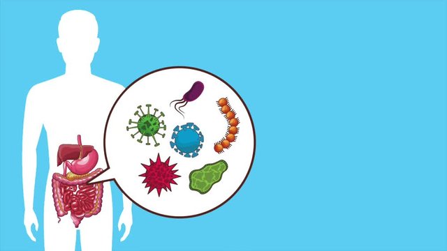 Digeste system on human body silhouette High definition colorful scenes animation