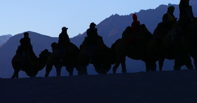 Silhouette of camel caravan In Himalaya mountains. Tourist attraction and travel destination