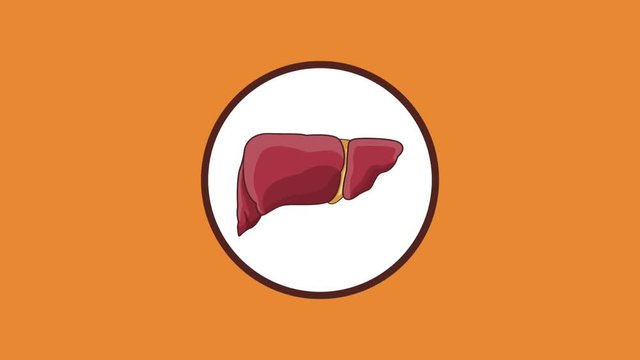 Gigesty system and organs inside round symbol High definition colorful scenes animation