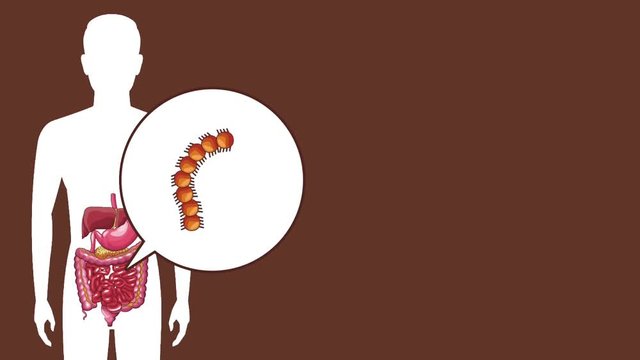 Digestive system with stomach ache bacterias in human body silhouette High definition colorful scenes animation