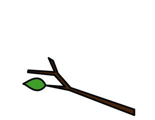 枝葉脈なし(色)