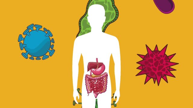 Digestive system with stomach ache bacterias in human body silhouette High definition colorful scenes animation