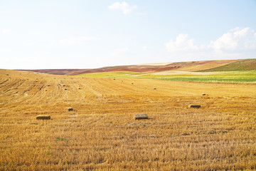 Obraz premium Cube Hayes in the field with blue sky background, Ankara, Turkey