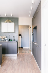 Scandinavian interior design. White grey wooden kitchen room organization