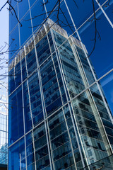 Glass Buildings on a Earthquake land