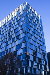 Glass Buildings on a Earthquake land