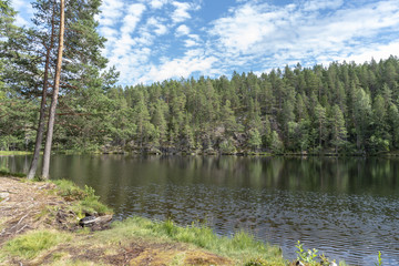 Obraz premium Pond in forest in Sweden