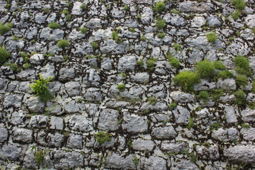 old gray stone wall with grass background texture concept 