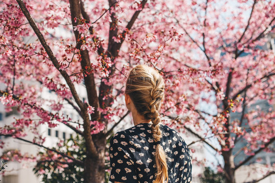 Young Woman with a Cherry Blossom Tree