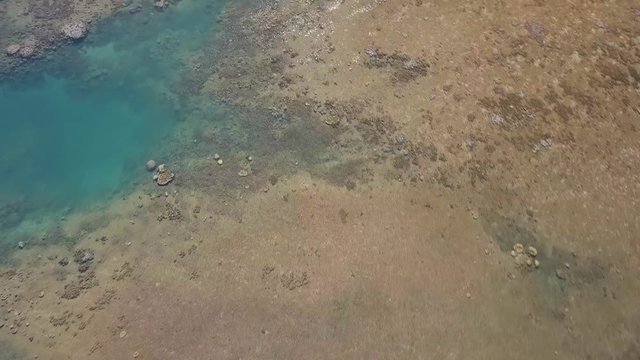 Drone shoot of a reef with corals