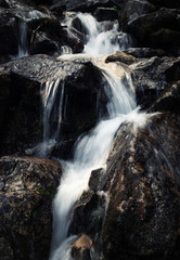 cascades on a wild stream