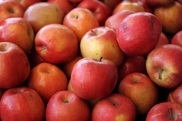 Fresh Fuji apples at a farmer's market.

