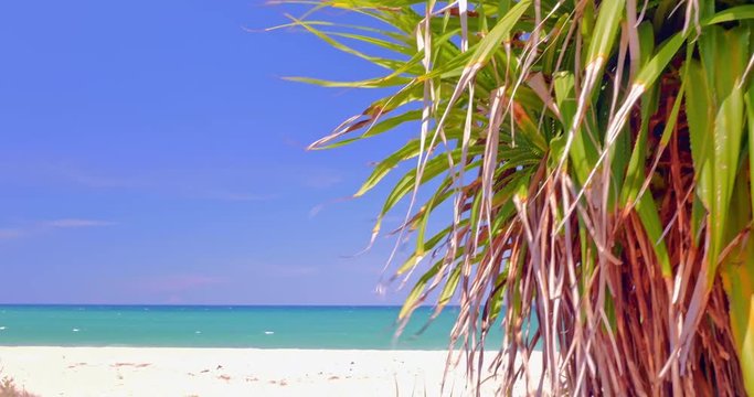 Coastal nature landscape. Beautiful tropical beach, blue sky and calm ocean at summer weather