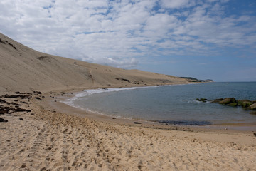 Sanddüne in Frankreich 