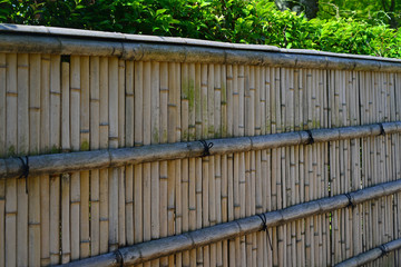 Bamboo fence-12