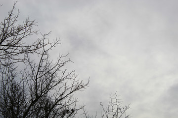 Cielo nublado en invierno