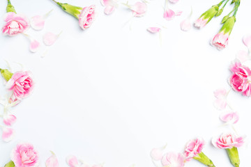 Fototapeta na wymiar carnations flowers on a white