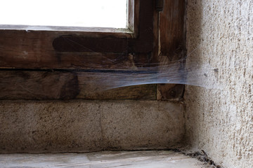 Spinnweben bei einem alten Fenster
