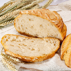 Sourdough homemade round white wheat bread with slices close up