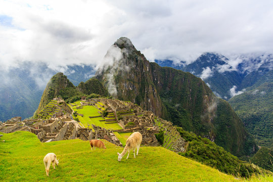 Machu Picchu Day1 .Apres le Camino del Inca..https://www.strava.com/activities/1597662003