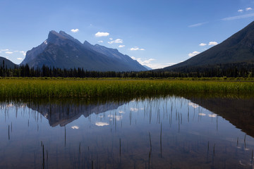 Vermilion Lakes during a vibrant sunny summer day. Taken in Banff, Alberta, Canada.