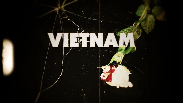 Fake 8mm amateur film: the text Vietnam over a white rose covered by red blood and a broken glass (very 1970s).
