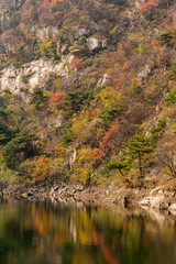 Mountain and stone vegetation reflected in the water in autumn