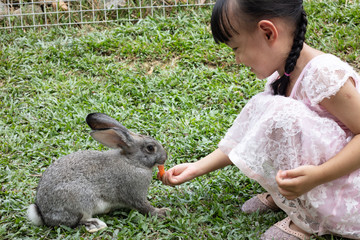 Asian Little Chinese Girl Feeding a Rabbit with Carrot
