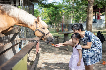 Asian Little Chinese Girl and mother feeding a horse with Carrot