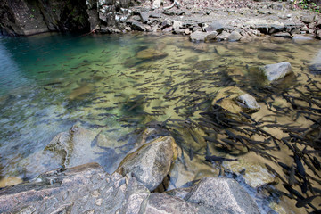 Chanthaburi Waterfall National Park National Park(Pliw waterfall), River, and Sculpture Garden