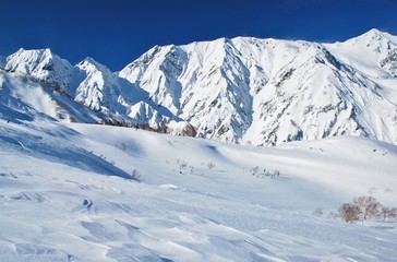 Fototapeta na wymiar Hakuba skiing ~ Japan / Nagano