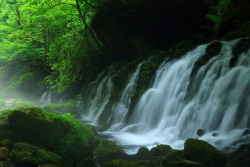 夏の元滝伏流水