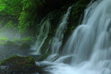夏の元滝伏流水