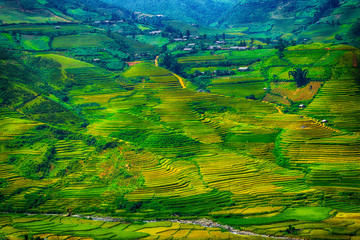 Obraz na płótnie Canvas Rice fields on terraced of Mu Cang Chai, YenBai, Vietnam. Rice fields prepare the harvest at Northwest Vietnam. Vietnam landscapes.