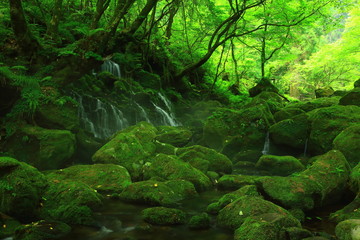 夏の元滝伏流水