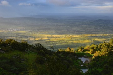 Pernambuco - Brazil