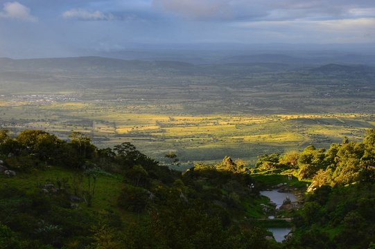 Pernambuco - Brazil