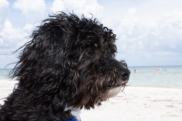 Schichon at the Beach