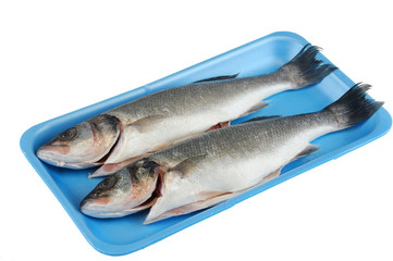  raw sea bass in the container for sale