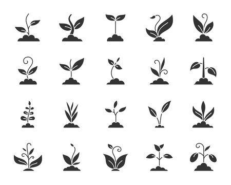 Grass black silhouette icons vector set