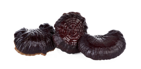dried Lingzhi mushrooms, Reishi mushrooms on white background.