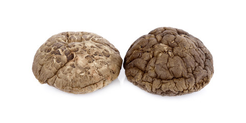 dried shiitake mushrooms, chinese mushrooms on white background.