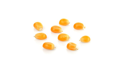 Dried yellow corn kernels on white background.