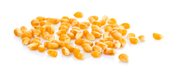 Dried yellow corn kernels on white background.