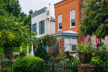 Houses on Montgomery Street in Federal Hill, Baltimore, Maryland