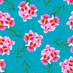 Obraz na płótnie Canvas Pink Vanda Miss Joaquim Orchid on Indigo Blue Background