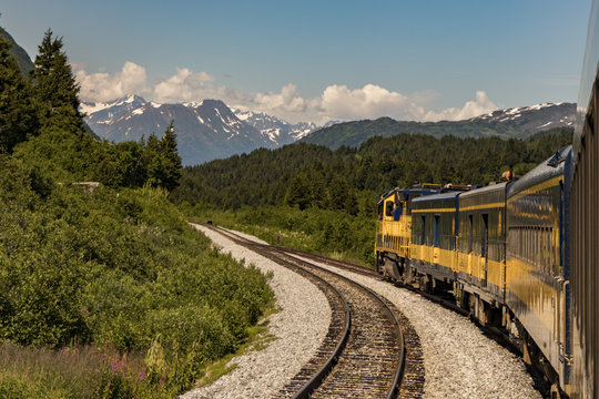 A bear crosses the tracks ahead of a train in Alaska, USA in summertime.

