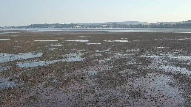 Gliding over the water with its ecosystem off of the shores of Lympstone England. This town is historic. The water plant life is visible well in the water.