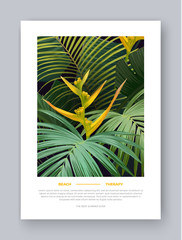 Floral vertical postcard design with bird of paradise flowers, banana and sabal palm leaves. Dark exotic hawaiian vector background.